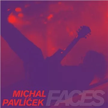 Pavlíček Michal: Faces (4xLP) - LP (9029501714)