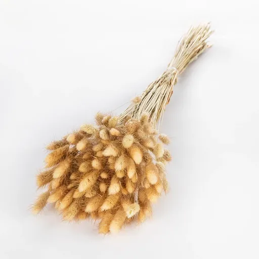 Weltbild Svazek sušených květin Lagurus, přírodní