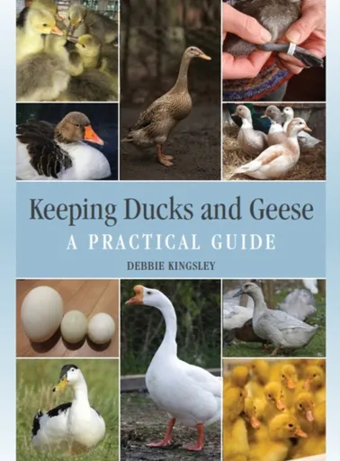 Keeping Ducks and Geese - Debbie Kingsley