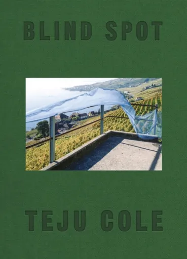 Blind Spot - Cole Teju