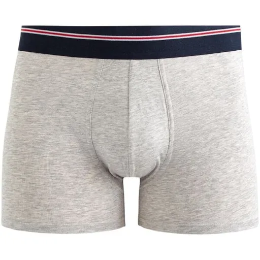 CELIO MIKE Pánské spodní prádlo, šedá, velikost