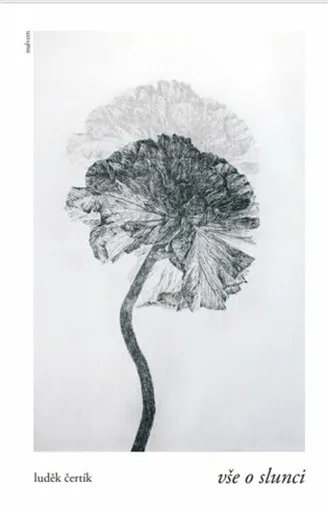 Vše o slunci - Luděk Čertík