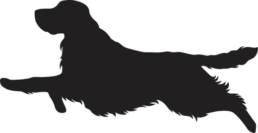 Vsepropejska Anglický špringeršpaněl dřevěná dekorace na zeď Rozměr (cm): 19 x 38