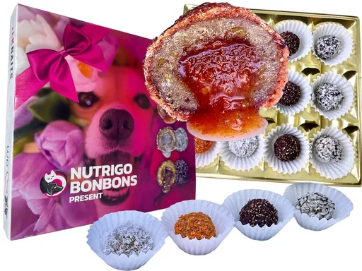 LK Baits Pet Sváteční bonboniéra Nutrigo Bonbons Present Small pro menší psy,LK Baits Pet Sváteční bonboniéra Nutrigo Bonbons Present Small pro menší