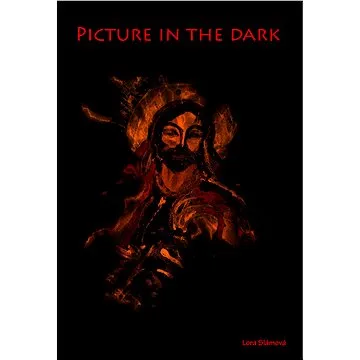 Picture in the dark (978-80-753-9004-2)