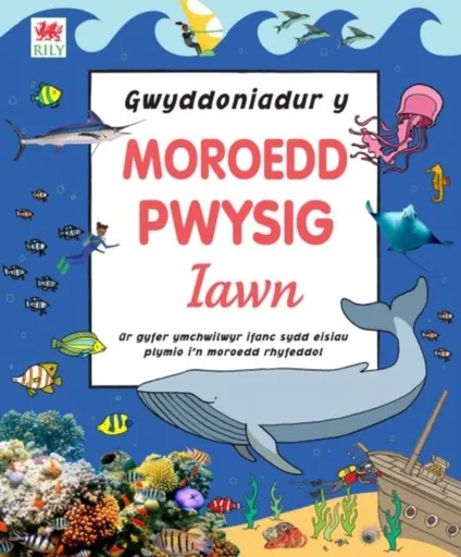 Gwyddoniadur y Moroedd Pwysig Iawn - DK