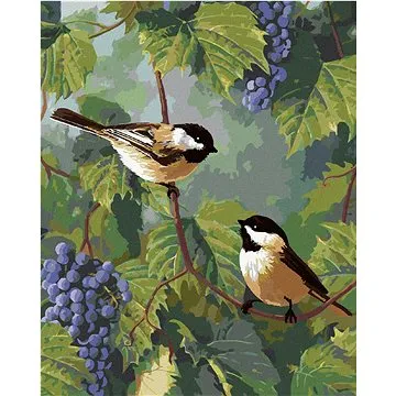 Zuty - Malování podle čísel - SÝKORA A HROZNY VÍNA (ROBERT HAUTMAN), 80x100 cm, vypnuté plátno na rá (HRAmmb04851nad)