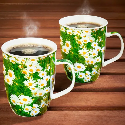 1 šálek Sedmikrásky