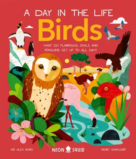 Birds (A Day in the Life) - Alex Bond