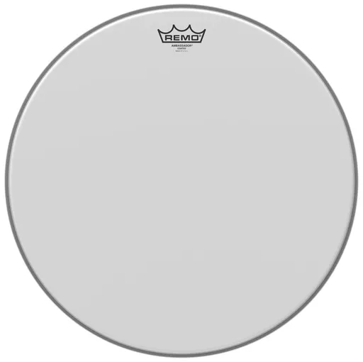 Remo 18" Ambassador Coated