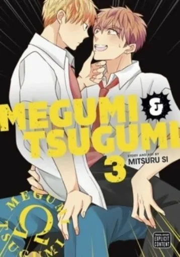 Megumi & Tsugumi, Vol. 3 - Mitsuru Si