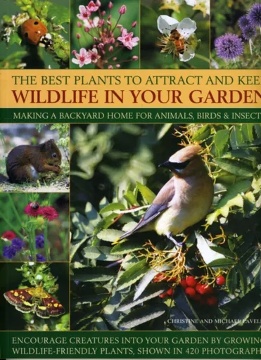 Best Plants to Attract and Keep Wildlife in the Garden - Christine Lavelle