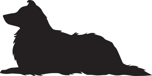 Vsepropejska Sheltie dřevěná dekorace na zeď Rozměr (cm): 19 x 38