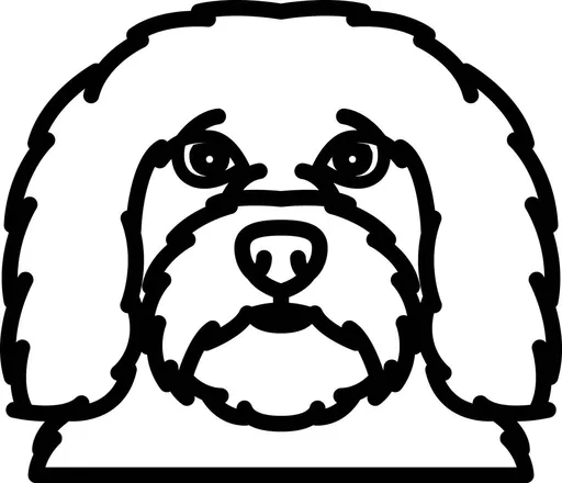 Vsepropejska Psí dekorace na zeď Plemeno: Havanský psík