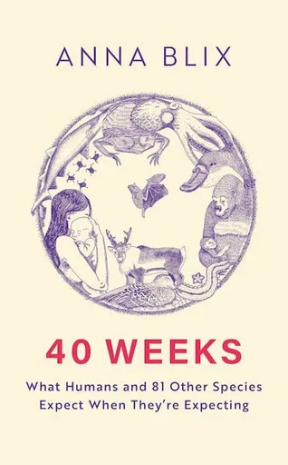 40 Weeks - Anna Blix