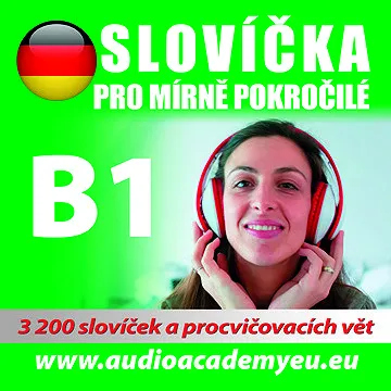 Němčina - slovíčka B1 ()