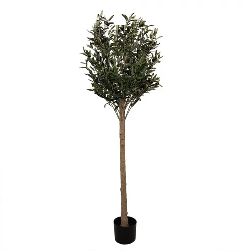 Dekorace umělý stromek olivovník s olivami Olea Tree - 50*50*165 cm 5PL0148