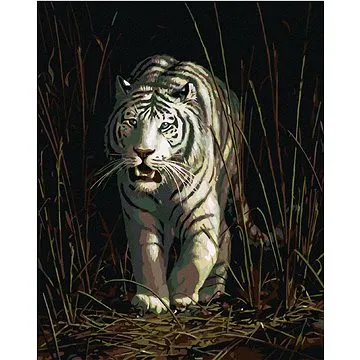 Zuty - Malování podle čísel – BÍLÝ TYGR V TRÁVĚ (JAMES HAUTMAN), 80x100 cm, vypnuté plátno na rám (HRAmmb05035nad)