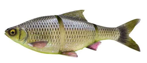 Savage gear gumová nástraha 3d line thru roach sinking hugo - 32 cm 445 g