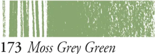 Pastel v tužce Sennelier – 173 Moss Grey Green
