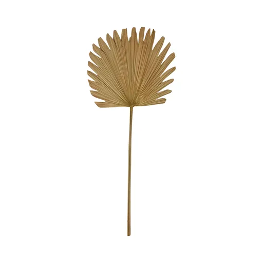 Hnědý usušený kulatý dekorativní list Palmy - 70 cm Mars & More