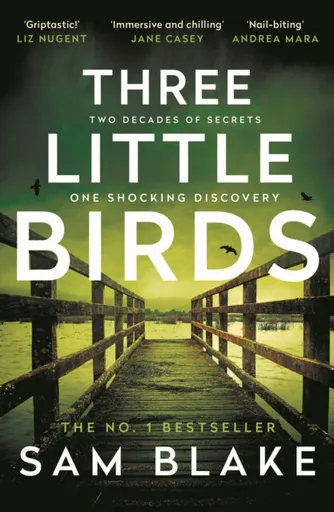 Three Little Birds - Sam Blake