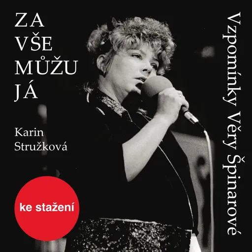 Za vše můžu já - Karin Stružková - audiokniha