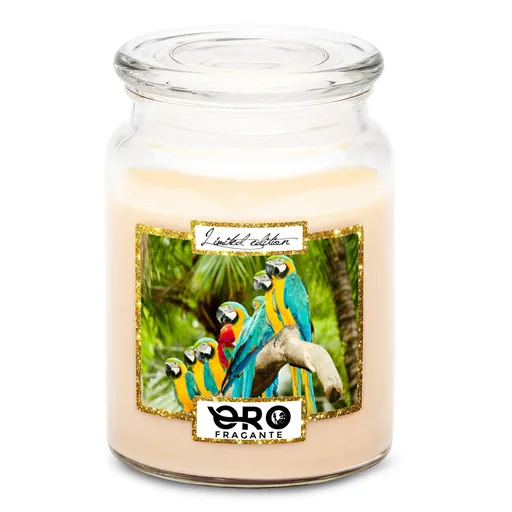 Svíčka Papoušci (Vůně svíčky: Vanilka)