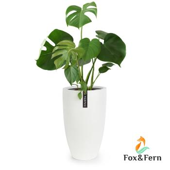 Fox & Fern Květináč Almere Fibre Stone ideální pro rostliny, ručně vyrobený, kónický