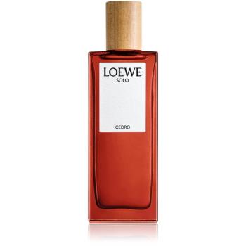 Loewe Solo Cedro toaletní voda pro muže 50 ml