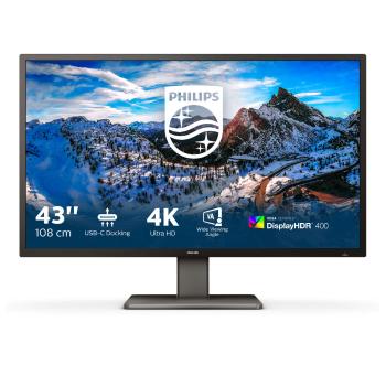 Philips P Line 439P1/00 LED display 108 cm (42.5&quot;) 3840 x 21...