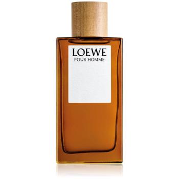 Loewe Loewe Pour Homme toaletní voda pro muže 150 ml