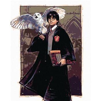 Zuty - Harry potter a hedvika v bradavicích, 40×50 cm (HRAwlmal131nad)