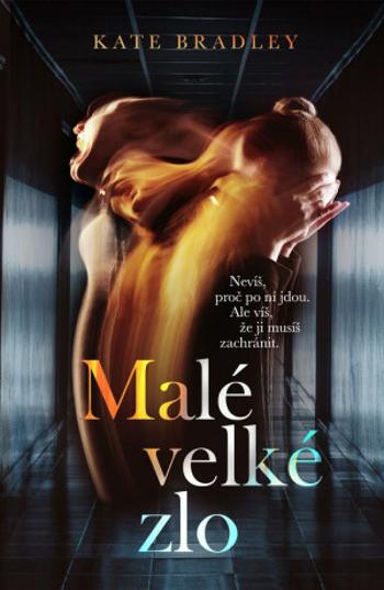 Malé velké zlo - Kate Bradley