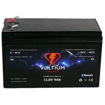 Voltium Energy LiFePO4 smart baterie VE-SPBT-1209, 12V, 9Ah  (VE-SPBT-1209)