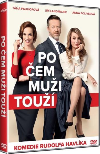 Po čem muži touží (DVD)