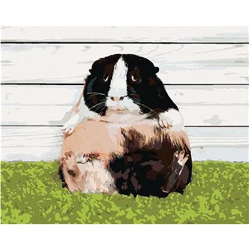 Líné morče, 80×100 cm, bez rámu a bez vypnutí plátna (6055332)