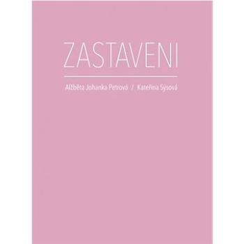 Zastaveni (978-80-905649-9-2)