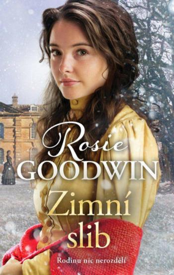 Zimní slib - Rosie Goodwin