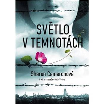 Světlo v temnotách (978-80-253-5380-6)