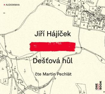 Dešťová hůl (MP3-CD) - audiokniha