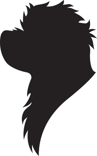 Vsepropejska Maltézský psík 3 dřevěná dekorace na zeď Rozměr (cm): 38 x 22