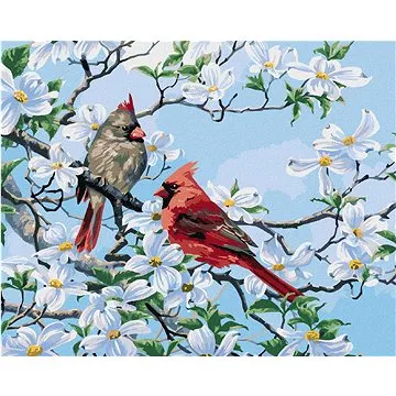 Zuty - Malování podle čísel - PTÁK KARDINÁL NA ROZKVETLÉ VĚTVI NA JAŘE (ABRAHAM HUNTER), 80x100 cm,  (HRAmmb07959nad)