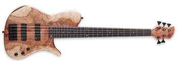 AV Basses AVS 5 EFB Box Elder