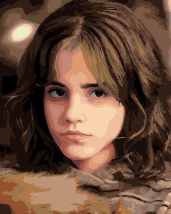 Zuty Maľovanie podľa čísel Portrét Hermiony s prísnym pohľadom (Harry Potter)