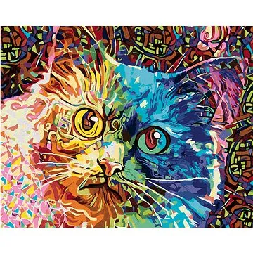 Diamondi - Diamantové malování - BAREVNÁ MALOVANÁ KOČKA, 40x50 cm, Vypnuté plátno na rám (606235B)