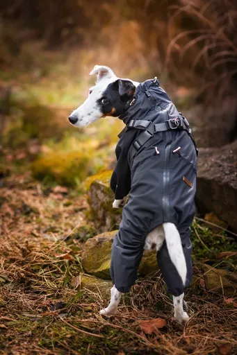 Vsepropejska Nelly pláštěnka do deště - nepromokavá kombinéza Barva: Šedá, Délka zad (cm): 25, Obvod hrudníku: 25 - 39 cm