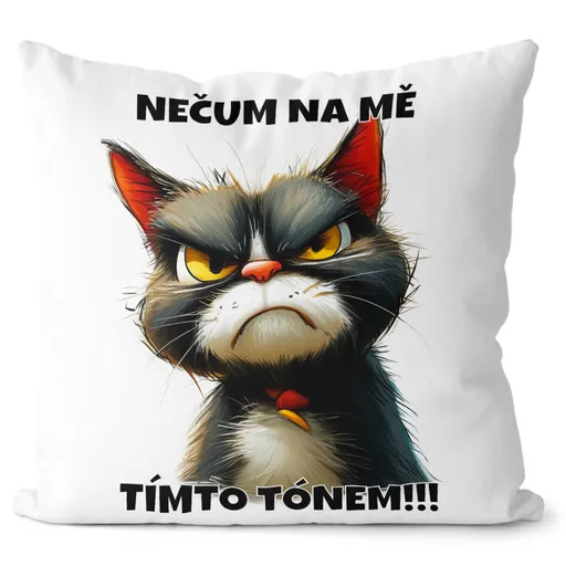 Polštář Nečum na mě – kočka (Velikost: 40 x 40 cm)