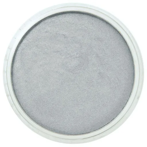 PanPastel 9ml – 921.5 Pewter