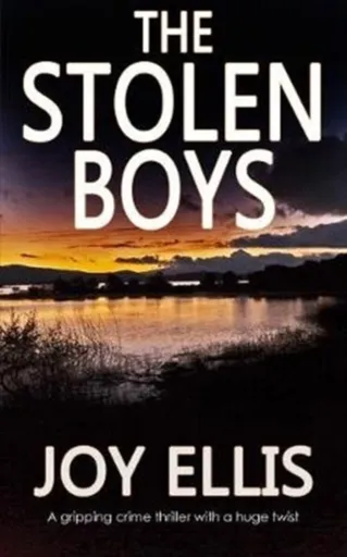 The Stolen Boys - Joy Ellis